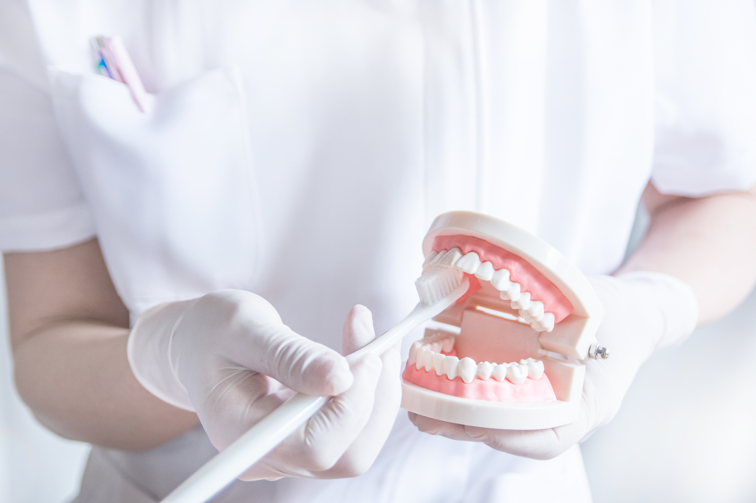 歯周病を予防するための歯磨きのポイントを説明
